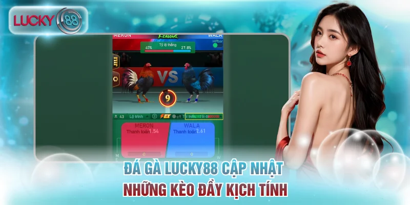 Đá Gà Lucky88 Live Cực Kỳ Kịch Tính Và Cược Chất Lượng 2 Đá gà Lucky88 cập nhật những kèo đầy kịch tính