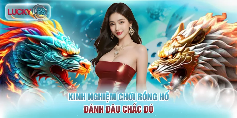Kinh Nghiệm Chơi Rồng Hổ Đánh Đâu Chắc Đó Từ Chuyên Gia 8 Rồng Hổ