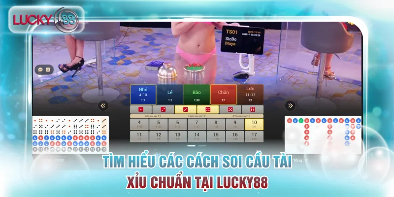 Cách Soi Cầu Tài Xỉu Chuẩn Giúp Bạn Thắng Lớn Tại Lucky88 2 Tìm hiểu các cách soi cầu tài xỉu chuẩn tại Lucky88