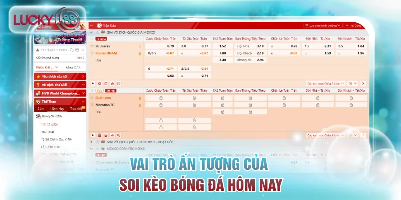 Vai trò ấn tượng của soi kèo bóng đá hôm nay